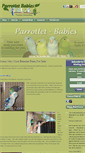 Mobile Screenshot of parrotletbabies.com